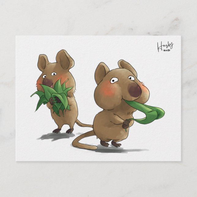 Postal 58: Quokkas (Anverso)