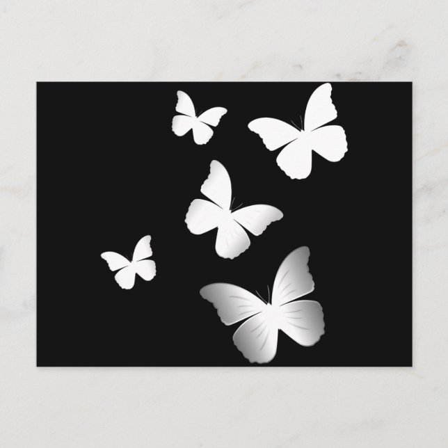 Postal 5 mariposas blancas (Anverso)