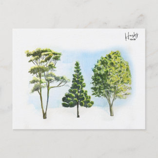 Postal 63; árboles australianos