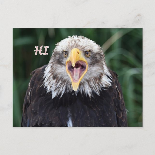 Postal 6.º reverencia (Anverso)