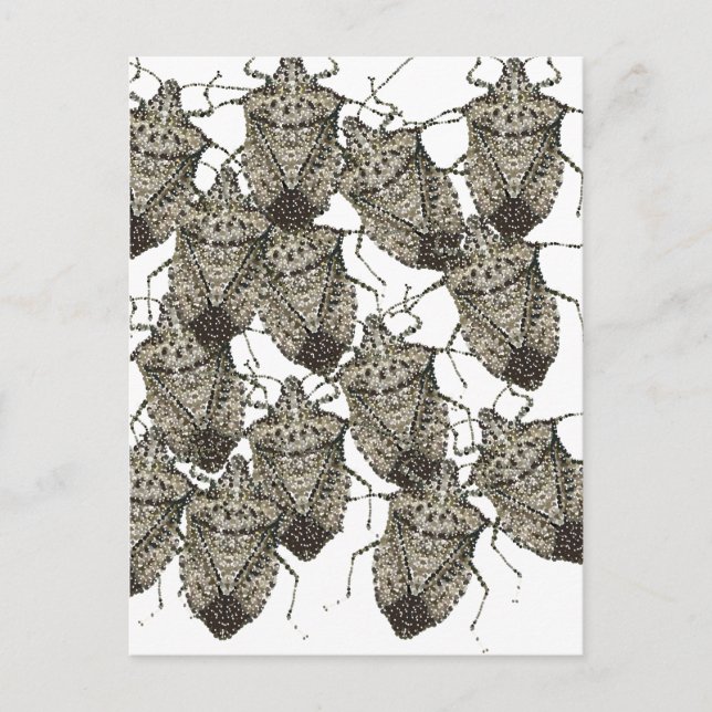 Postal 6-07-14 insinuantes bugs rev.png (Anverso)