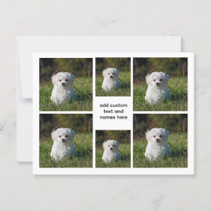 Postal 6 Collage de fotos - Cuadrícula blanca Estética, m