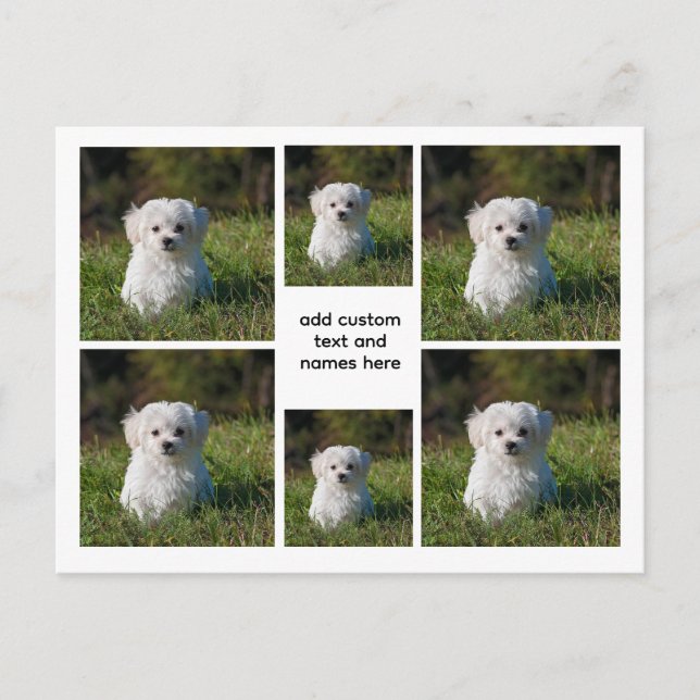 Postal 6 Collage de fotos - Cuadrícula blanca Estética, m (Anverso)