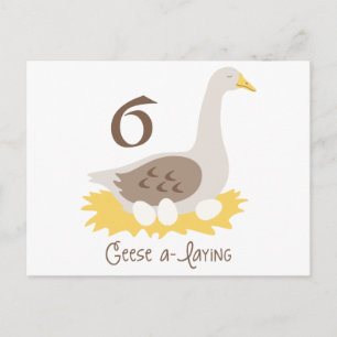 Postal 6 Geese A-Laying