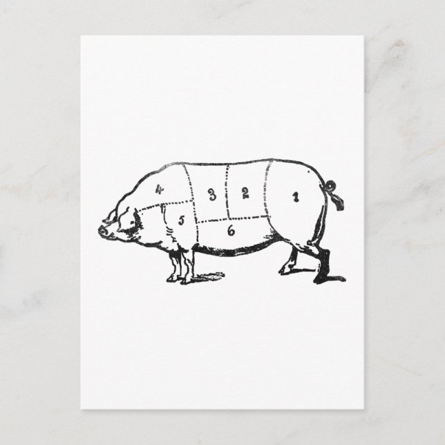 Postal 6 grados de bacón (Anverso)