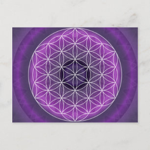 Postal 7 chakra de la corona creada por Tutti