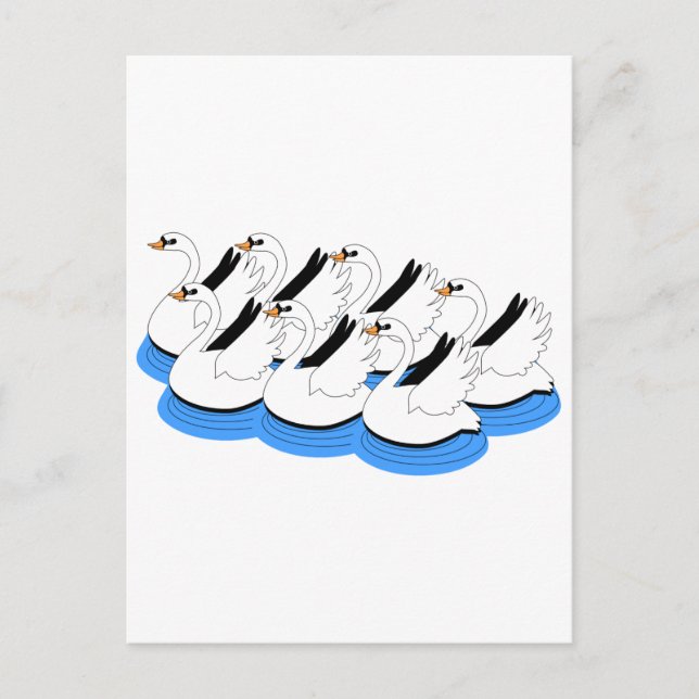 Postal 7 Cisnes Natación (Anverso)