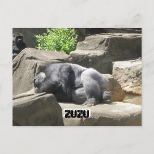 Postal 7 de marzo de 927, ZuZu, ZuZu