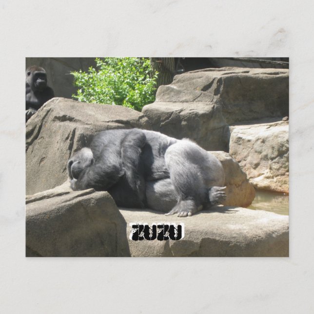 Postal 7 de marzo de 927, ZuZu, ZuZu (Anverso)