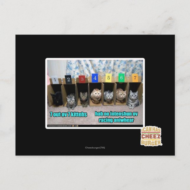 Postal 7 kittehs (Anverso)