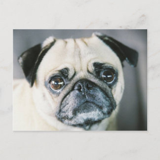 POSTAL 850203-R1-017-7