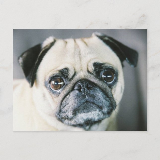 POSTAL 850203-R1-017-7 (Anverso)