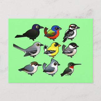 Postal 9 Aves traseras del Sudeste de Estados Unidos