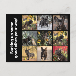 Postal 9 x imágenes + texto