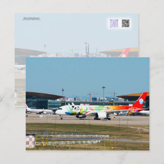 Postal A350 Panda Livery