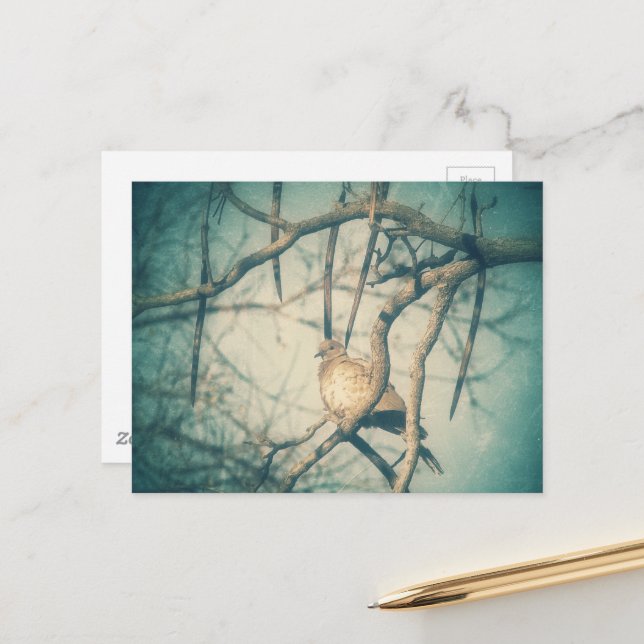 Postal A beautiful Dove (Anverso/Reverso In Situ)