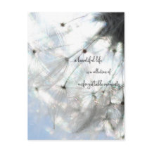 a beautiful life… dichos diente de león semilla