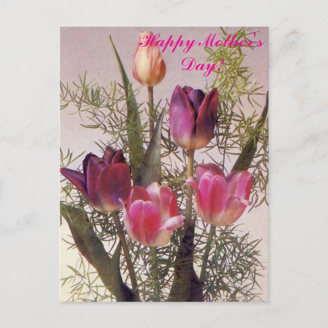 Postal A bouquet of pink tulips in various shades,Happy M (Anverso)