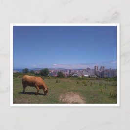 Postal A Coruna, Galicia (España)