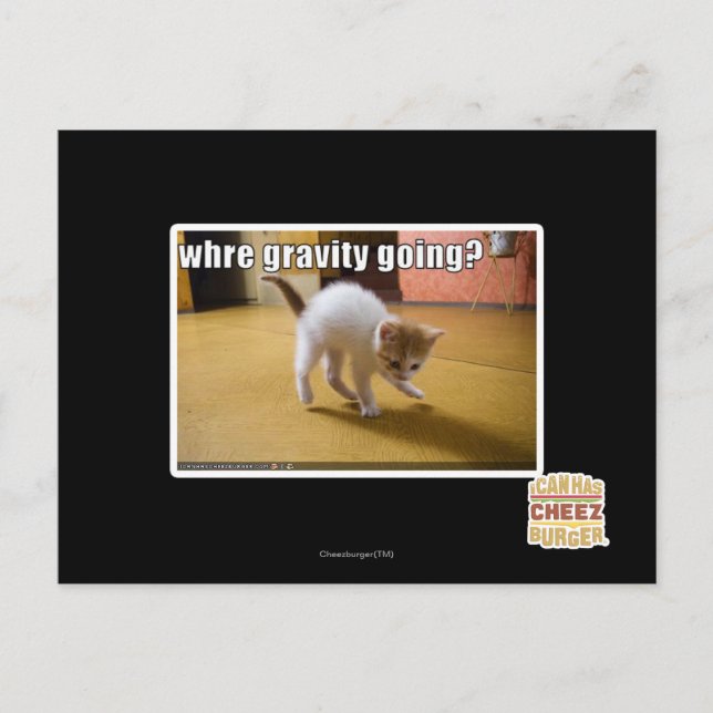 Postal ¿A dónde va la gravedad? (Anverso)