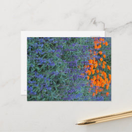 Postal A flower garden of blue salvia and marigolds.