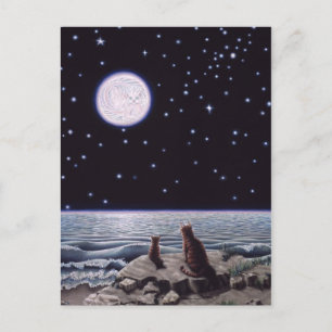 Postal A la luz de la luna del gato