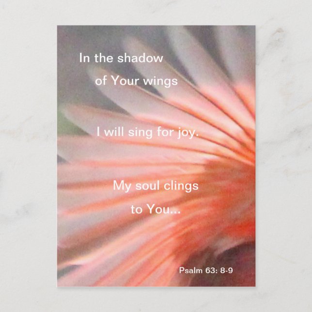 Postal A la sombra de sus alas (Anverso)