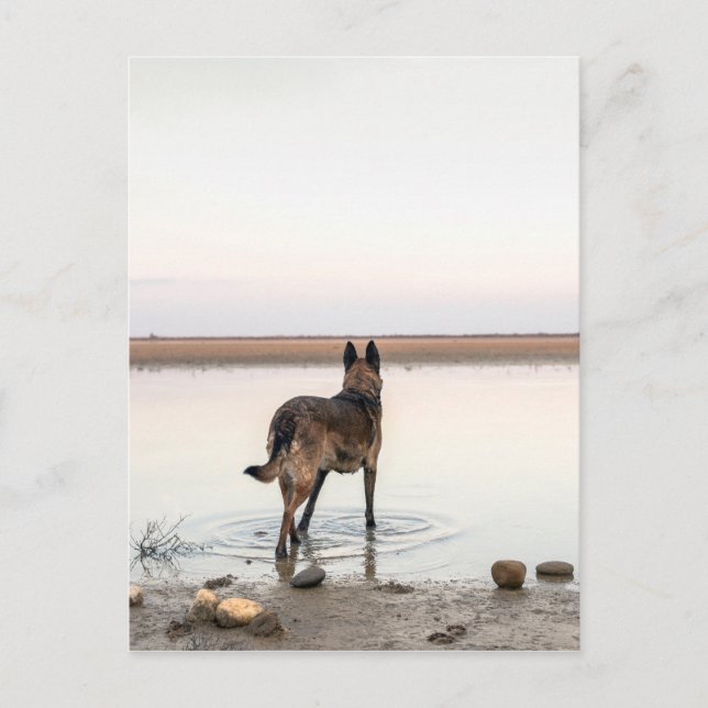 Postal a lejos (Anverso)