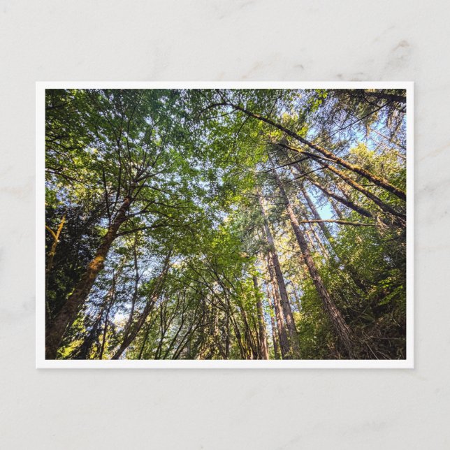 Postal A lo largo del camino (Anverso)