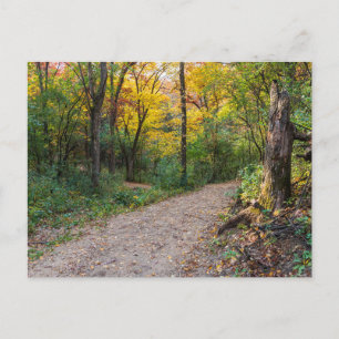Postal a lo largo del sinuoso sendero forestal de las col
