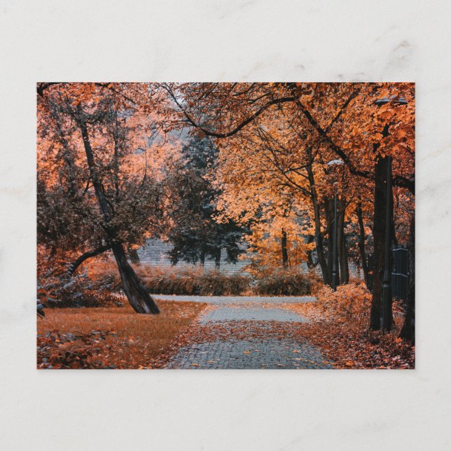 POSTAL A LOS PIES DEL OTOÑO (Anverso)