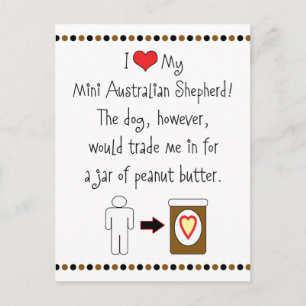 Postal A mi pequeño pastor australiano le encanta la mant