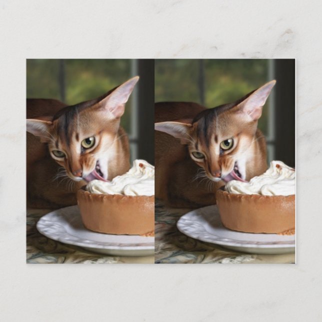 Postal A Moment of Sweet Stillness – Art Postcard (Anverso)