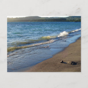 Postal A orillas del lago Taupo, Nueva Zelanda.