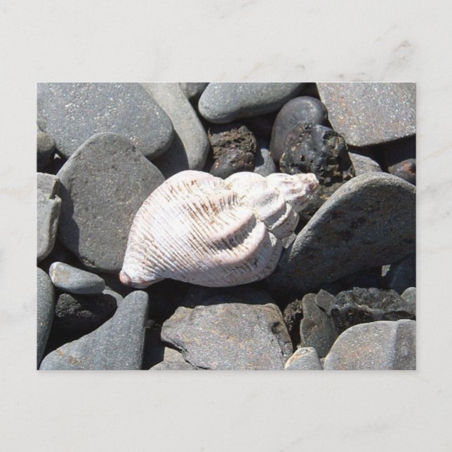 Postal A Orillas Del Mar Postcard (Anverso)