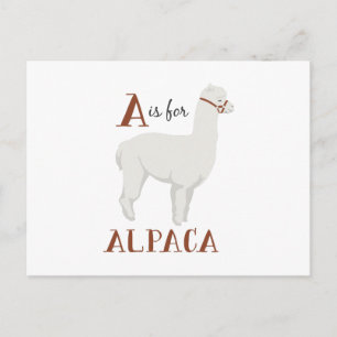 Postal A para la alpaca