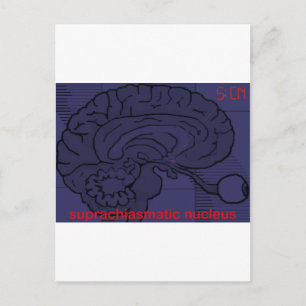 Postal ¿A qué hora es? Preguntar a mi SCN