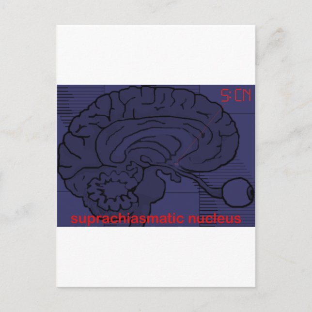 Postal ¿A qué hora es? Preguntar a mi SCN (Anverso)