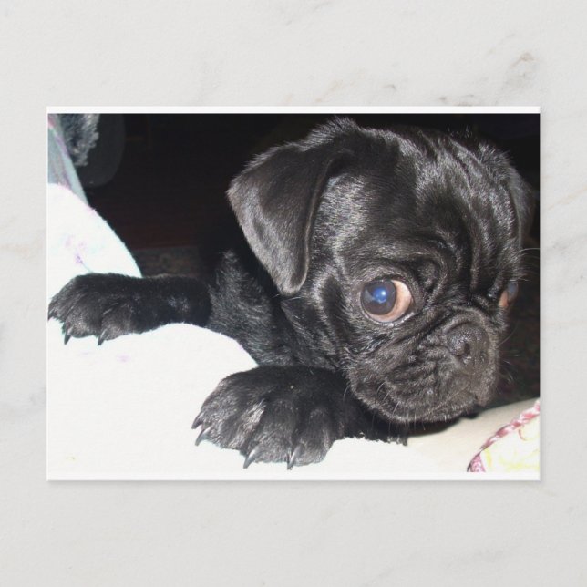 Postal ¿A quién estás mirando? (Anverso)