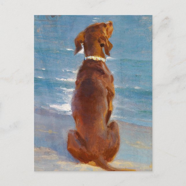 Postal A sitting brown dog by P.S. Kroyer (Anverso)
