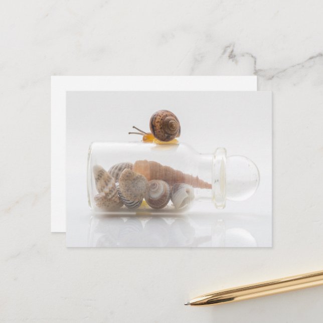 Postal A snail and seashells (Anverso/Reverso In Situ)