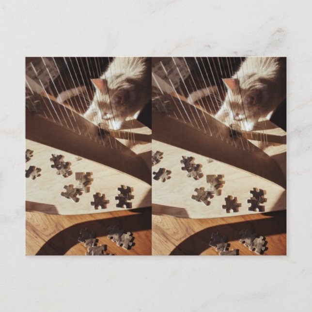 Postal A Still Moment in Sunlight (Anverso)