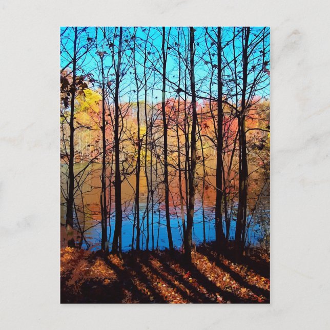 Postal A través de árboles (Anverso)