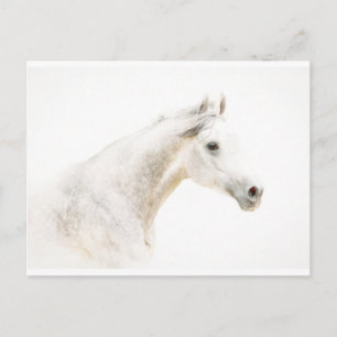 Postal A través de la niebla