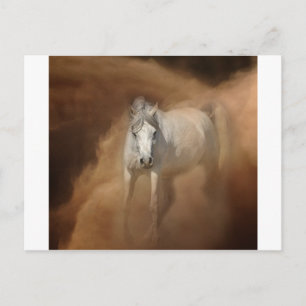 Postal A través de la tormenta de polvo