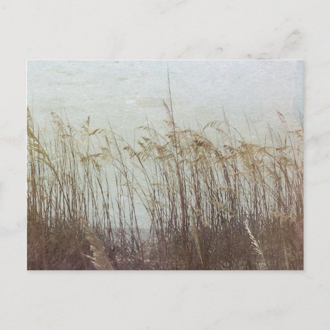 Postal A través de las dunas II (Anverso)