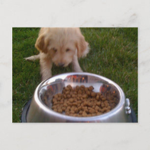 Postal A veces es difícil satisfacer tus expectativas