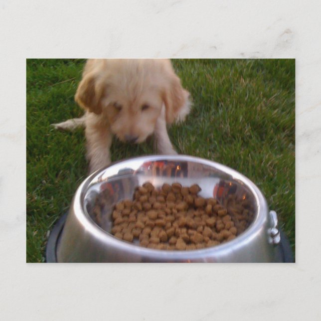 Postal A veces es difícil satisfacer tus expectativas (Anverso)