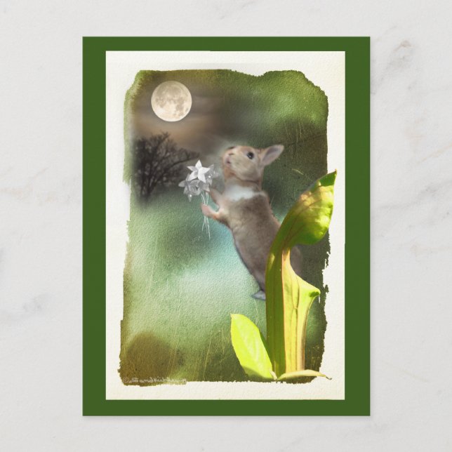 Postal A veces tarde por la noche oigo a Joey cantar / ca (Anverso)