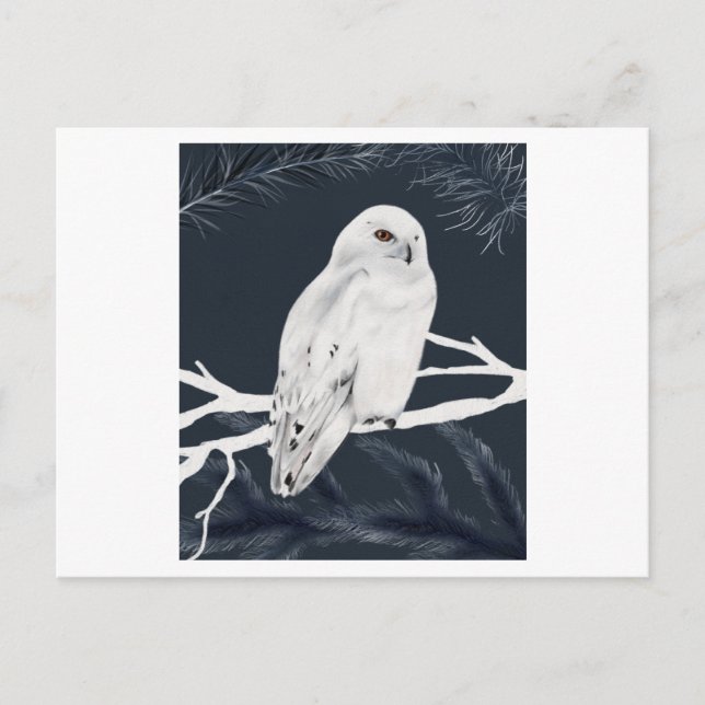 Postal A white winter owl perches on a branch (Anverso)